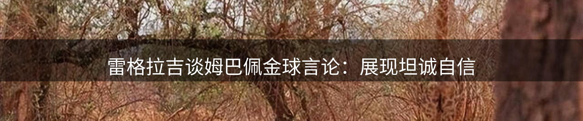 新闻窗口